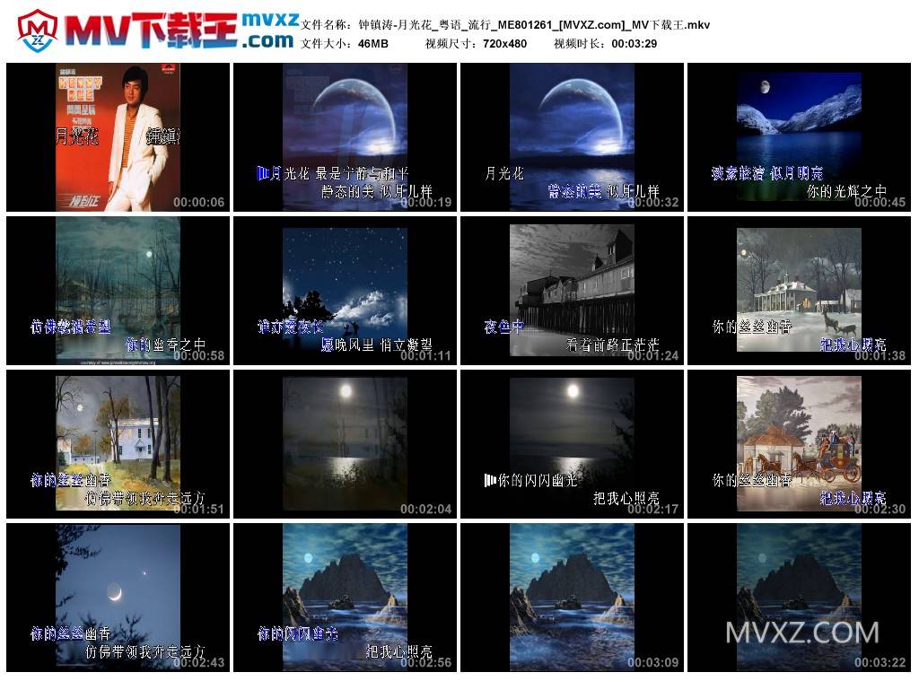 钟镇涛-月光花_粤语_流行_ME801261